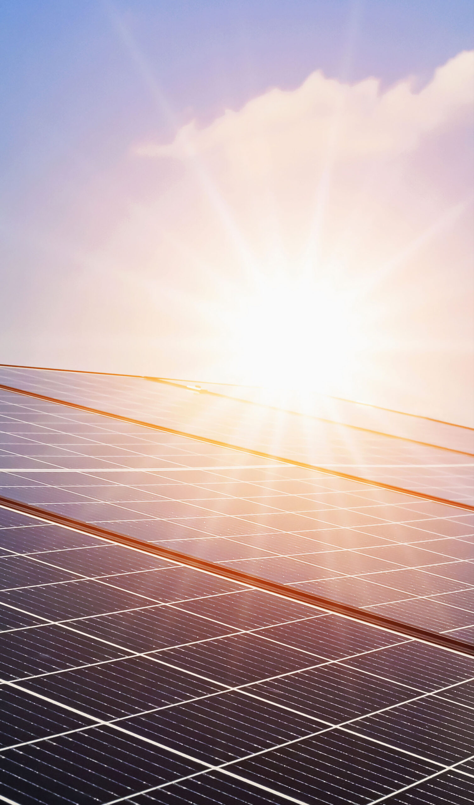 Reebu myyntisopimukset yrityksille prosessi